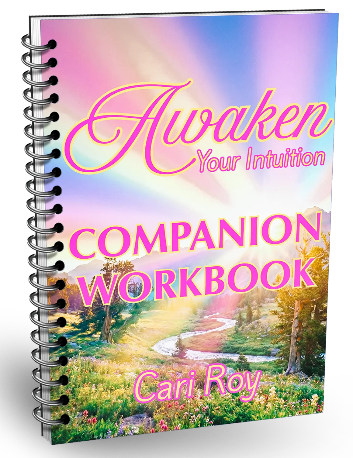 AYI Workbook