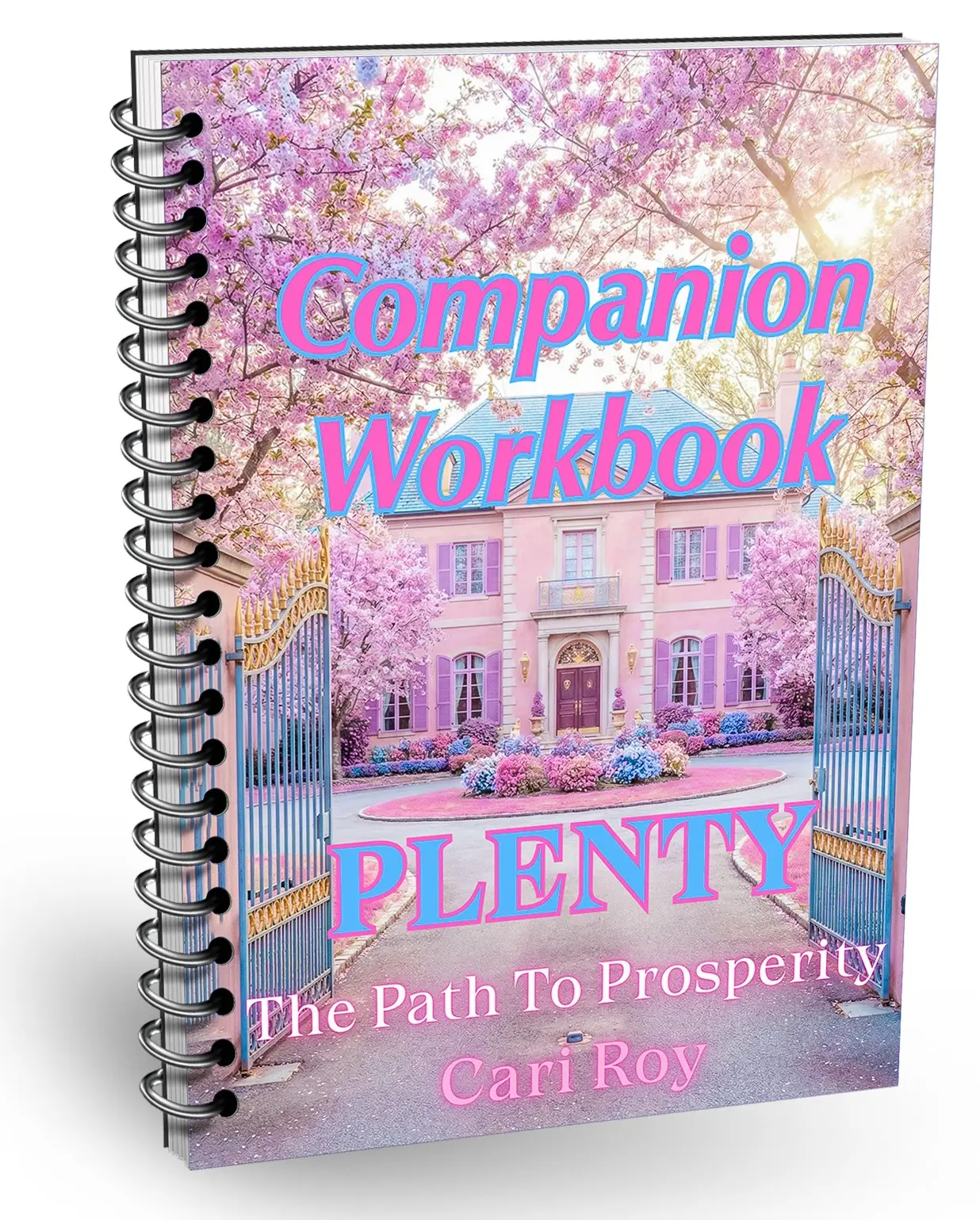 Plenty Workbook